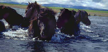 Húnavatn